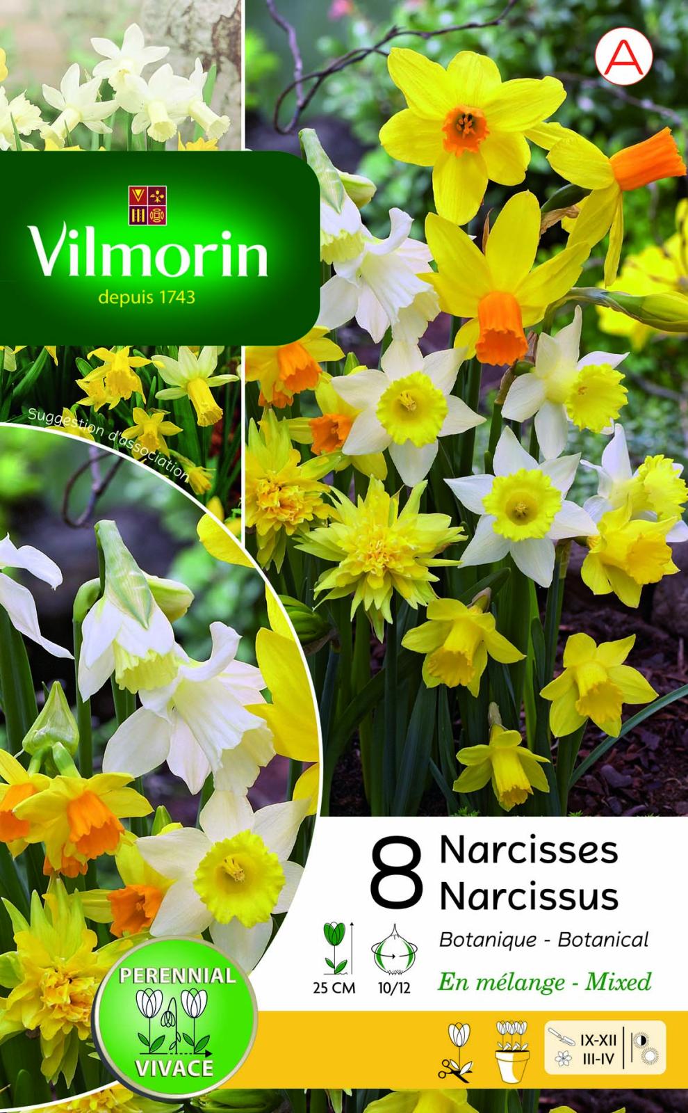 Mélange Narcisse Botanique Vilmorin Jardin — free download